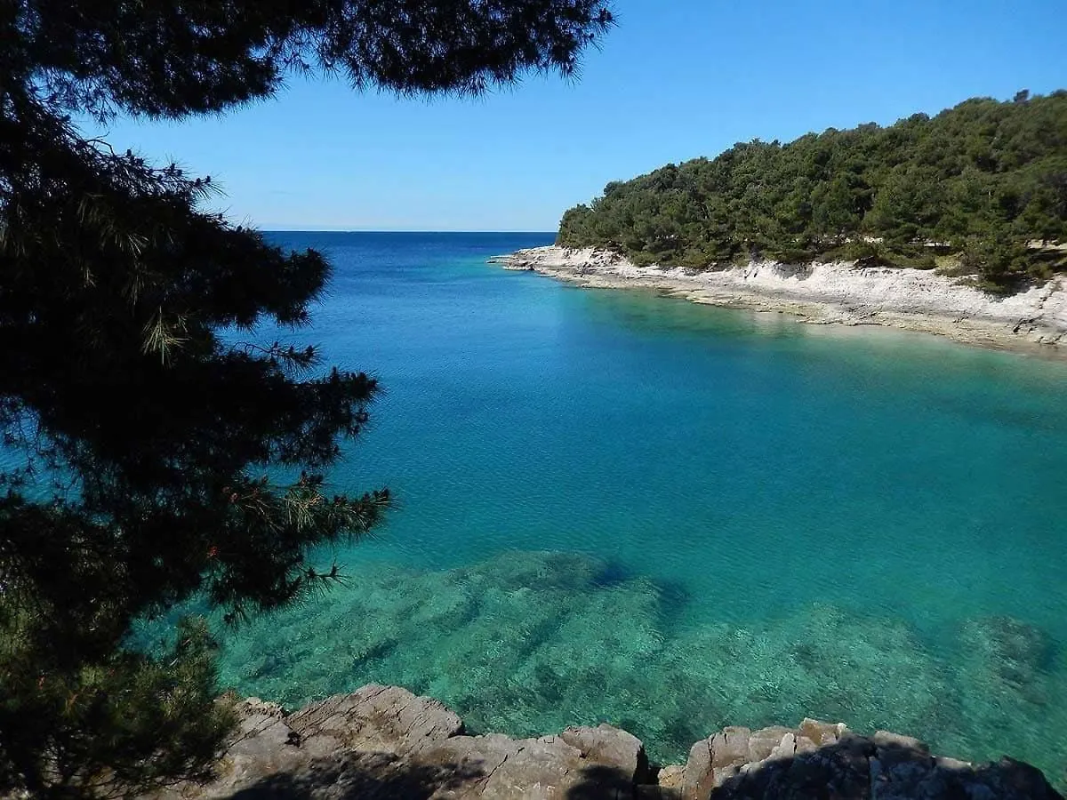 Сasa de vacaciones Villa Casa Grotta Istriana Mit Neu Pool Near Center In Pula Croacia